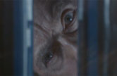 capaldi-flatline-tardis-side