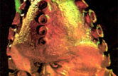 zygon-series-7